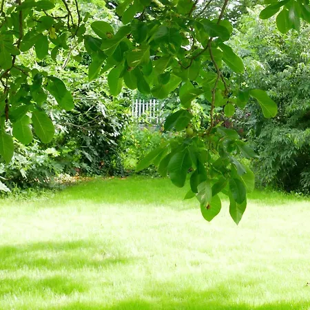 Il Giardino Della Quercia Bed & Breakfast Lungavilla